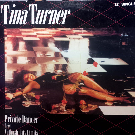 Tina Turner Private Dancer Maxi 2da. Mano Usado en Excelente Estado