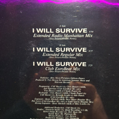 Gloria Gaynor I will survive 90 Version Maxi 2da. Mano Usado en Excelente Estado